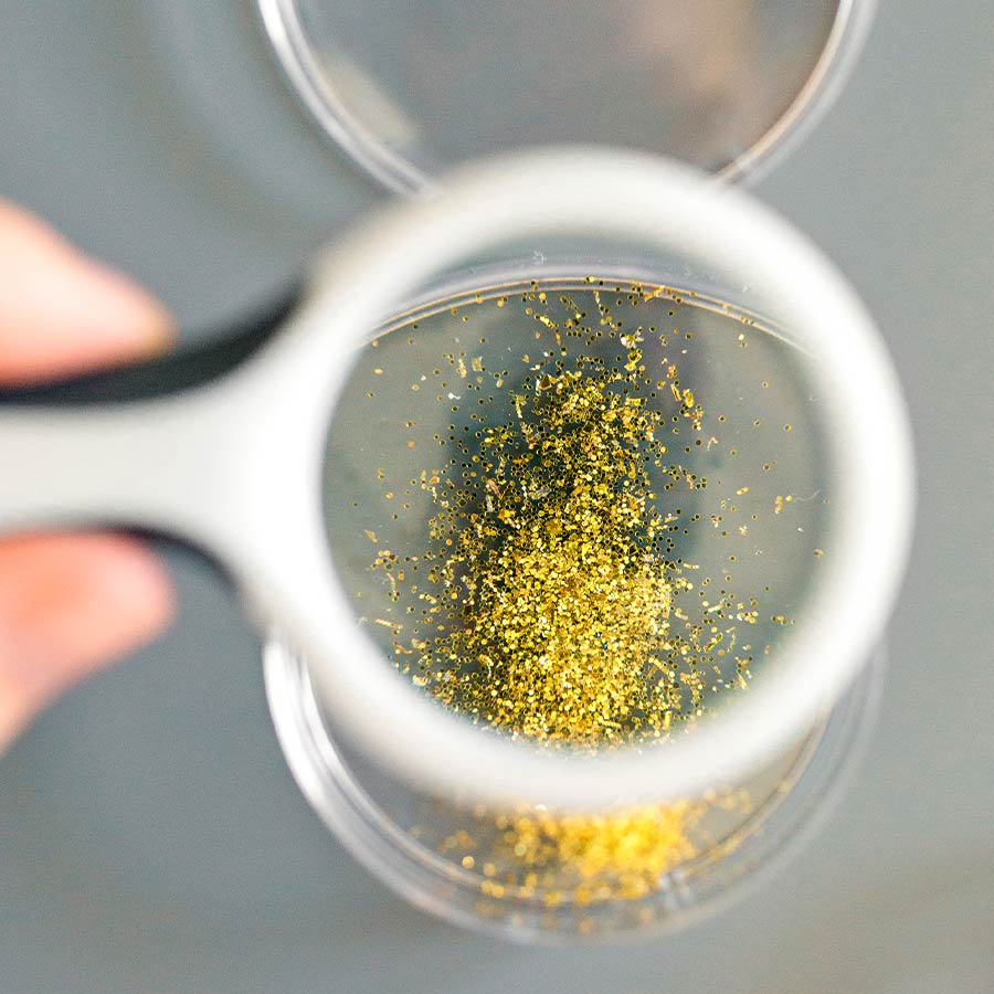 Blütenpollen unter einem Vergrößerungsglas