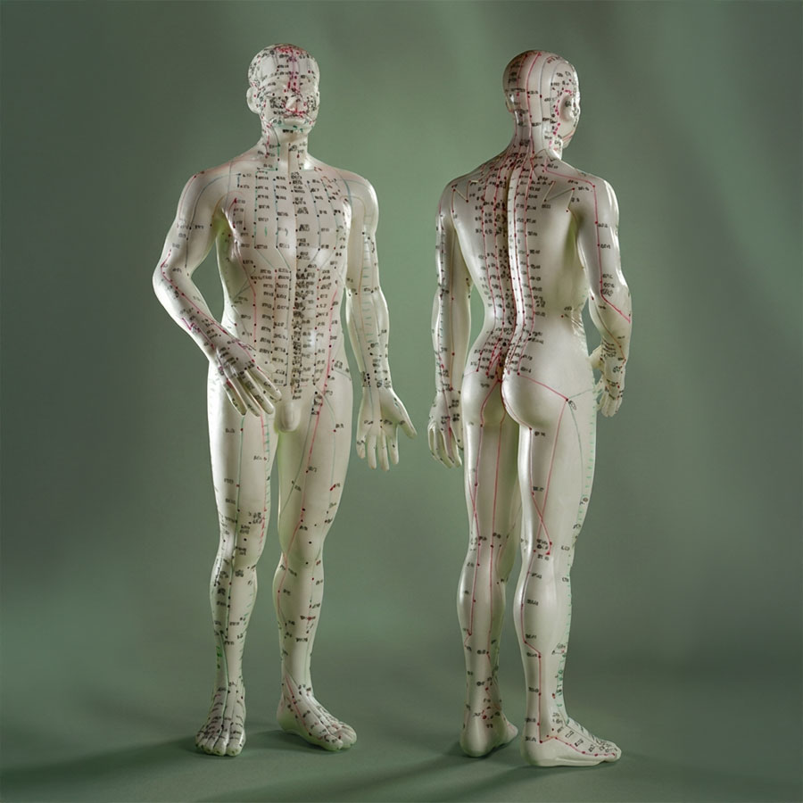 Akupunktur Modellfiguren, die die Meridianlinien zeigen